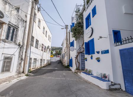 turkey/mugla/bodrum/dreaminnbutikotel2cd91d48.jpg