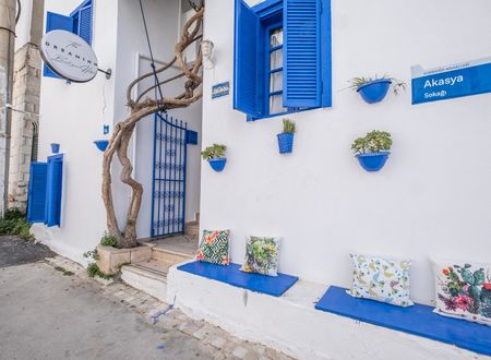 turkey/mugla/bodrum/dreaminnbutikotel95b7834e.jpg