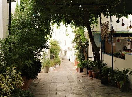 turkey/mugla/bodrum/durakotel4aefb353.jpg