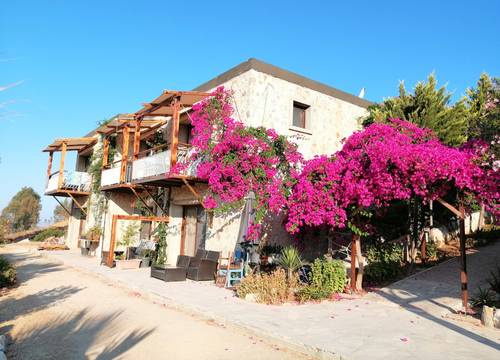 turkey/mugla/bodrum/ecofarmboutiquehotel51f9f3a8.jpg