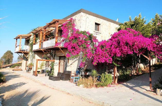 turkey/mugla/bodrum/ecofarmboutiquehotel51f9f3a8.jpg