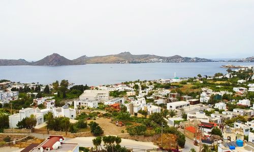 turkey/mugla/bodrum/elitegevillac3679124.jpg