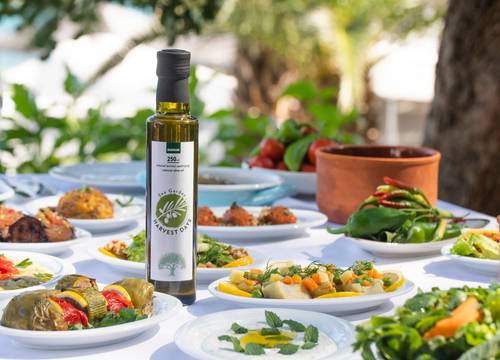 turkey/mugla/bodrum/hapimagresortseagardenhoteldc819309.jpg