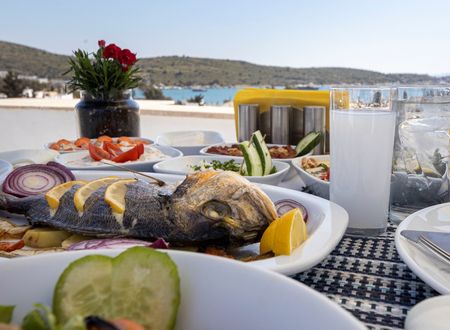 turkey/mugla/bodrum/holabodruma908a8b8.jpg