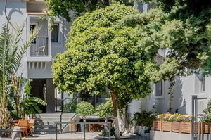 turkey/mugla/bodrum/hotelcentrobodrum1461b828.jpg