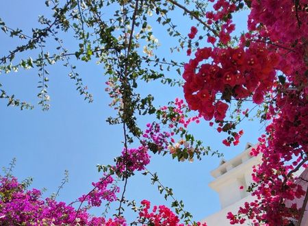 turkey/mugla/bodrum/ladoniahotelszemdaboutique69d4b26d.jpg