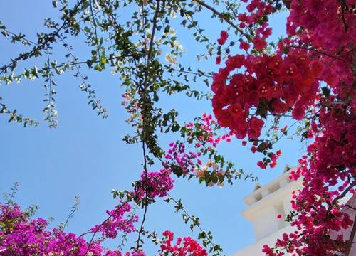 turkey/mugla/bodrum/ladoniahotelszemdaboutique69d4b26d.jpg