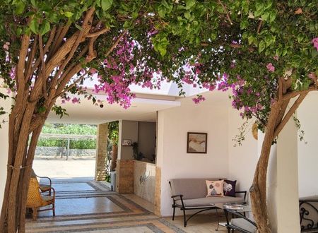 turkey/mugla/bodrum/ladoniahotelszemdaboutique6ff5ec0d.jpg