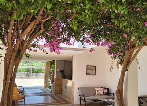 turkey/mugla/bodrum/ladoniahotelszemdaboutique6ff5ec0d.jpg