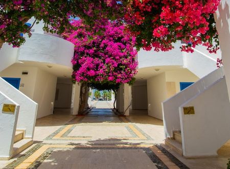 turkey/mugla/bodrum/ladoniahotelszemdaboutique88b2dd6c.jpg