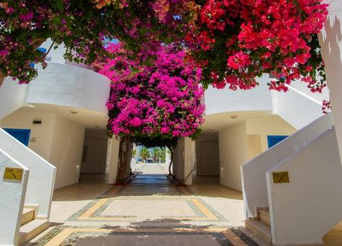 turkey/mugla/bodrum/ladoniahotelszemdaboutiquea0e1651b.jpg
