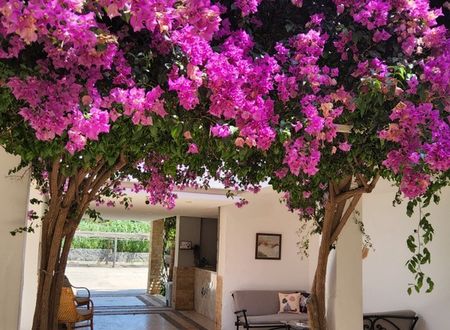 turkey/mugla/bodrum/ladoniahotelszemdaboutiqueeb8047d4.jpg