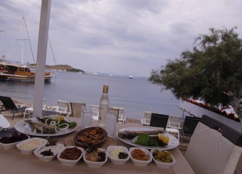 turkey/mugla/bodrum/meliskobeachhotel272394f5.jpg