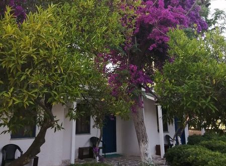 turkey/mugla/bodrum/myndosbedbreakfast282b134b.jpg