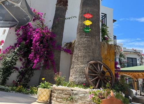 turkey/mugla/bodrum/orionhotelbitezd7b86640.jpg