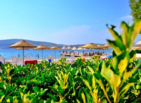 turkey/mugla/bodrum/oscarseasidehotel76013dac.jpg
