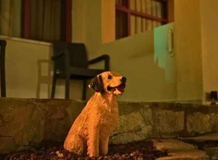 turkey/mugla/bodrum/oscarseasidehotel8fbfee12.jpg