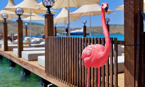 turkey/mugla/bodrum/oscarseasidehotelspad3dc3a15.jpg
