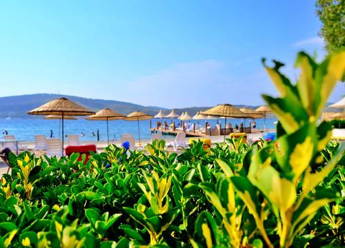 turkey/mugla/bodrum/oscarseasidehotelspad5db70bb.jpg