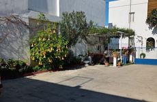 turkey/mugla/bodrum/payotelbymaviada4d3d7855.jpg