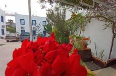 turkey/mugla/bodrum/payotelbymaviadac7e46d54.jpg