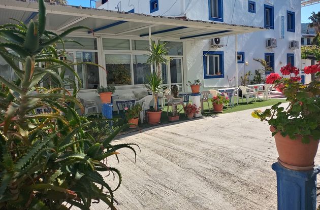 turkey/mugla/bodrum/payotelbymaviadaf1c907af.jpg