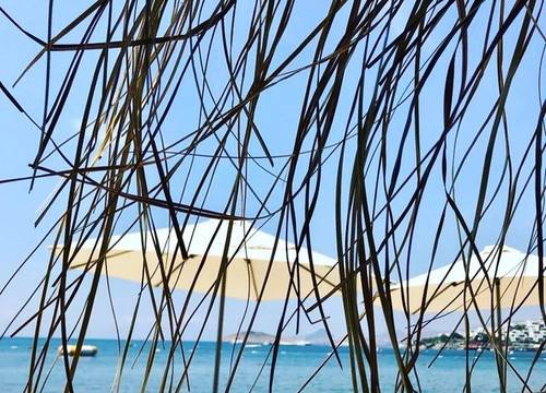 turkey/mugla/bodrum/ramadaresortbywyndhambodrum18a13887.jpg