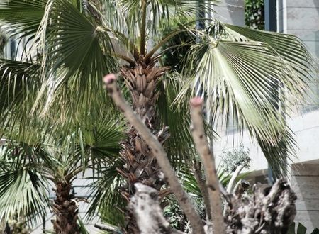 turkey/mugla/bodrum/rammosmanagedbydedeman6bbc5092.jpg