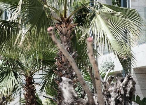 turkey/mugla/bodrum/rammosmanagedbydedeman6bbc5092.jpg