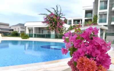 Royal Palm Residence · 5