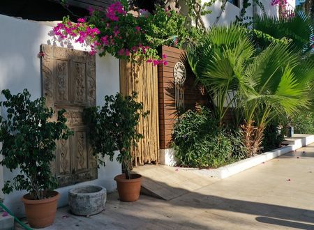 turkey/mugla/bodrum/selvibeachotel5013040c.jpg