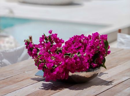 turkey/mugla/bodrum/susonabodrumlxrhotelsresort7f956f3e.jpg