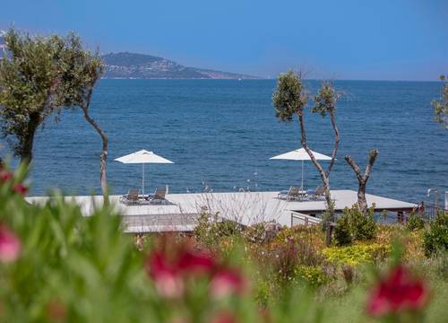 turkey/mugla/bodrum/susonabodrumlxrhotelsresortf248b54d.jpg