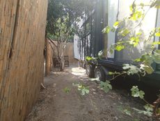 Tiny House (Apollon)