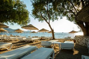 turkey/mugla/bodrum/yaliparkbeachhotela55c8189.jpg