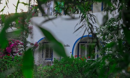turkey/mugla/bodrum/yaliyanimotelrestaurantb1452ef4.jpg