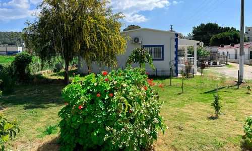 turkey/mugla/bodrum/yaliyanimotelrestaurantc6ae68a5.jpg