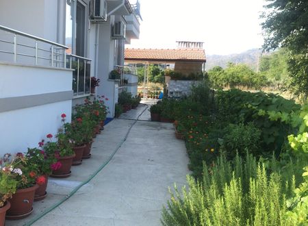 turkey/mugla/dalaman/dalamanapartpansiyon4e99eb2f.jpg