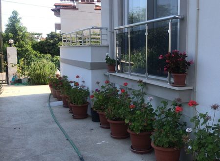 turkey/mugla/dalaman/dalamanapartpansiyonbee1d731.jpg