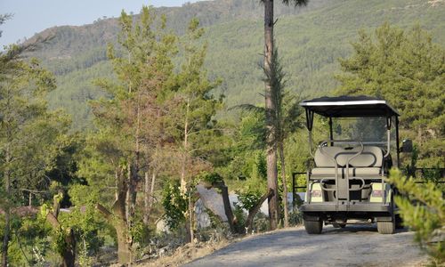 turkey/mugla/dalaman/izzgetaway52b2d5b1.jpg