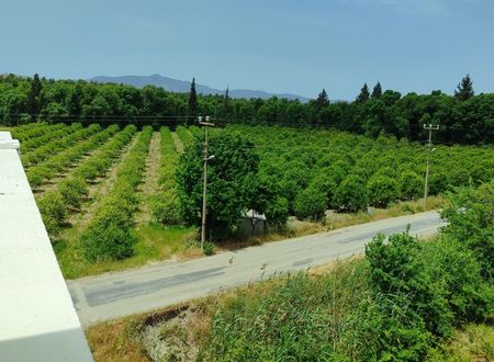 turkey/mugla/dalaman/thedalamansuitespansiyon6dd7a1ce.jpg