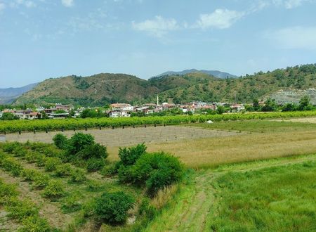 turkey/mugla/dalaman/thedalamansuitespansiyon8179430f.jpg