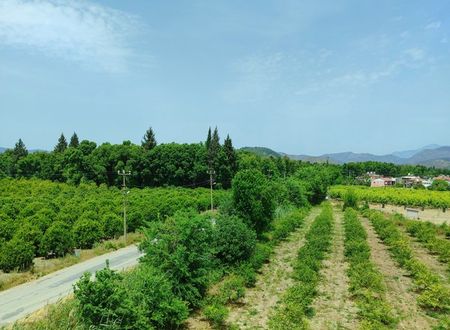 turkey/mugla/dalaman/thedalamansuitespansiyonf640d1b2.jpg