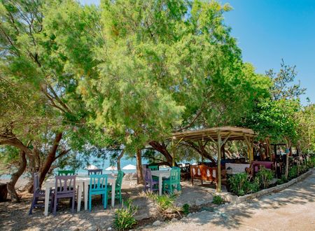 turkey/mugla/datca/adapansiyon55dde045.jpg