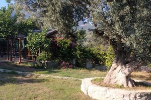 turkey/mugla/datca/baharbahcedatca279ca0ec.jpg