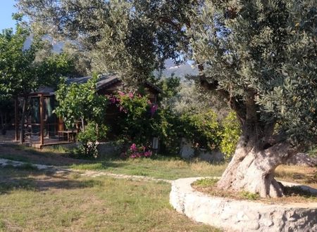 turkey/mugla/datca/baharbahcedatca279ca0ec.jpg