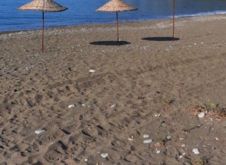 turkey/mugla/datca/baharbahcedatca2931b3dd.jpg