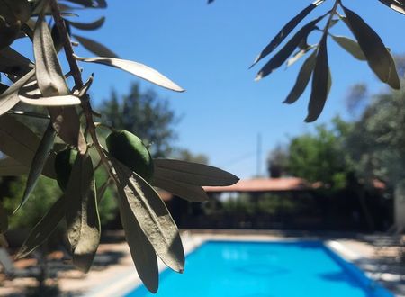 turkey/mugla/datca/baharbahcedatca789a3602.jpg