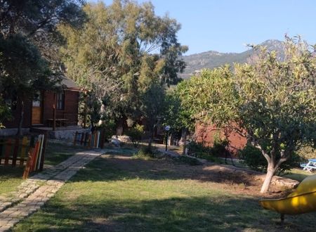 turkey/mugla/datca/baharbahcedatca87cca544.jpg