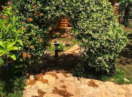 turkey/mugla/datca/bohembutikhousesdatca3cdf9fe3.jpg